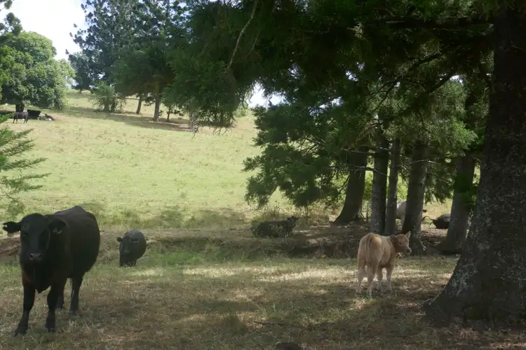 Third view of Homely rural property listing, Lot 27 Old Tweed Road, Wadeville NSW 2474