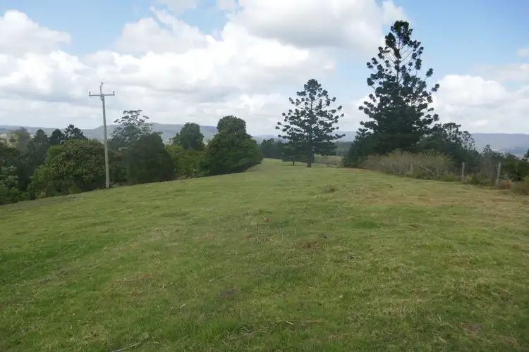 Seventh view of Homely rural property listing, Lot 27 Old Tweed Road, Wadeville NSW 2474