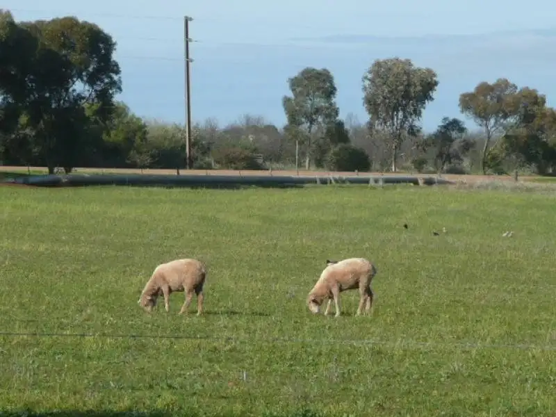 Main view of Homely land listing, Lot 35 James St, Jamestown SA 5491