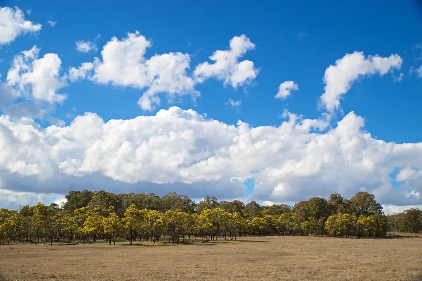 Main view of Homely house listing, 296 Rocky River Rd, Rocky River NSW 2358