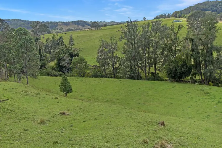 Second view of Homely rural property listing, 15 Blackhorse Road, Kyogle NSW 2474