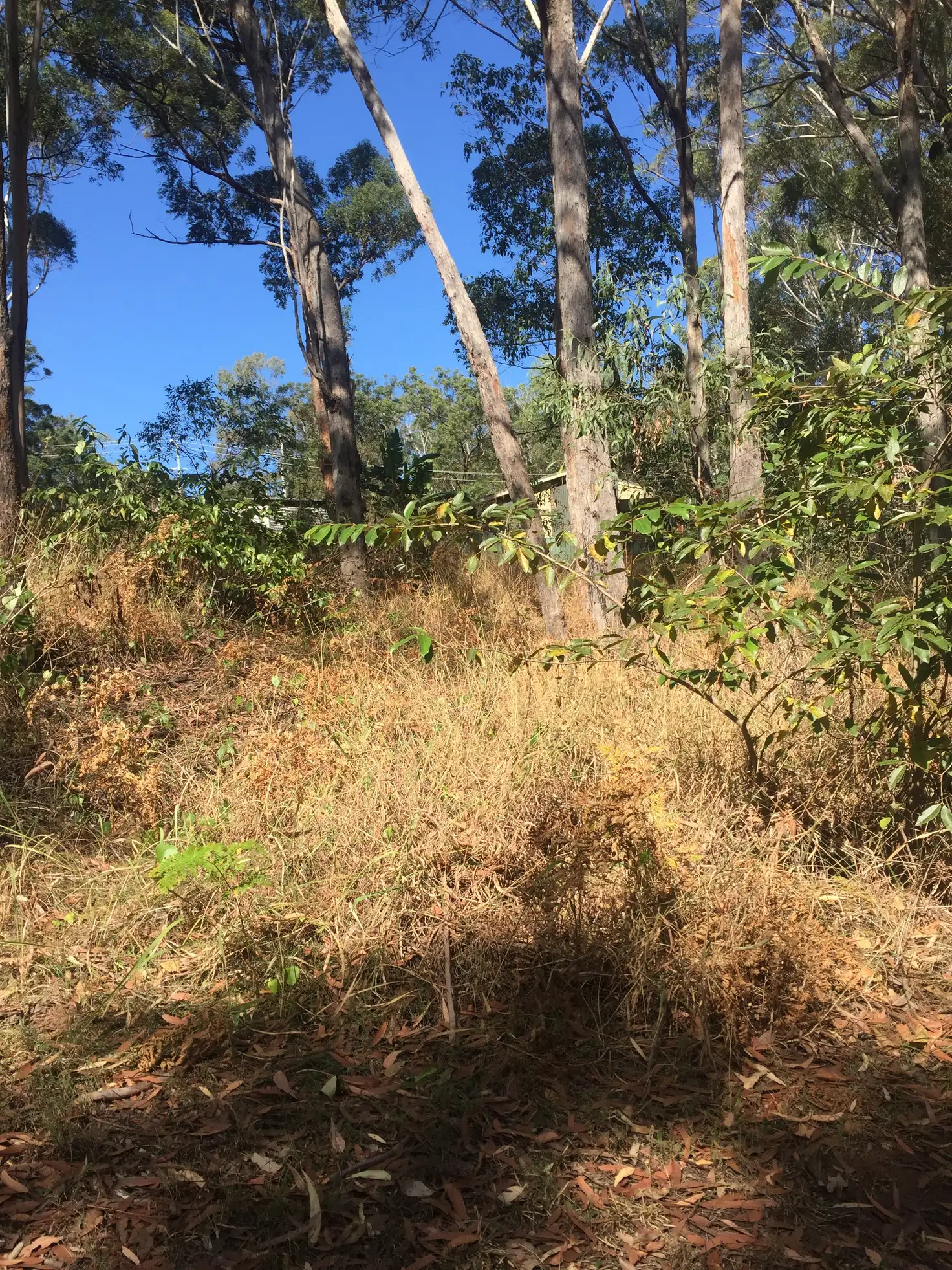 Main view of Homely land listing, 20 Lawson Street, Russell Island QLD 4184
