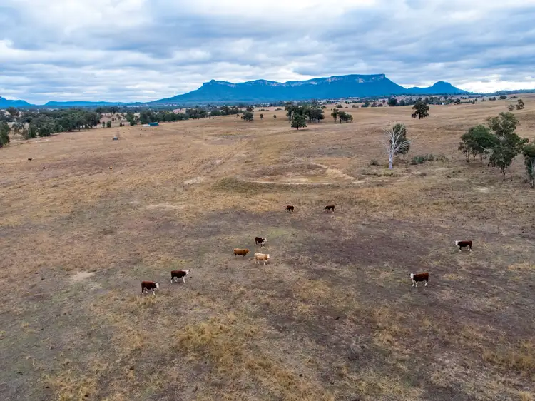 Fifth view of Homely rural property listing, Lot 5/100 Huntingdale Road, Glen Alice NSW 2849