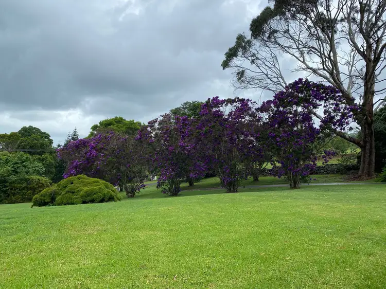 Fifth view of Homely house listing, 23 Callistemon Dr, Federal NSW 2480