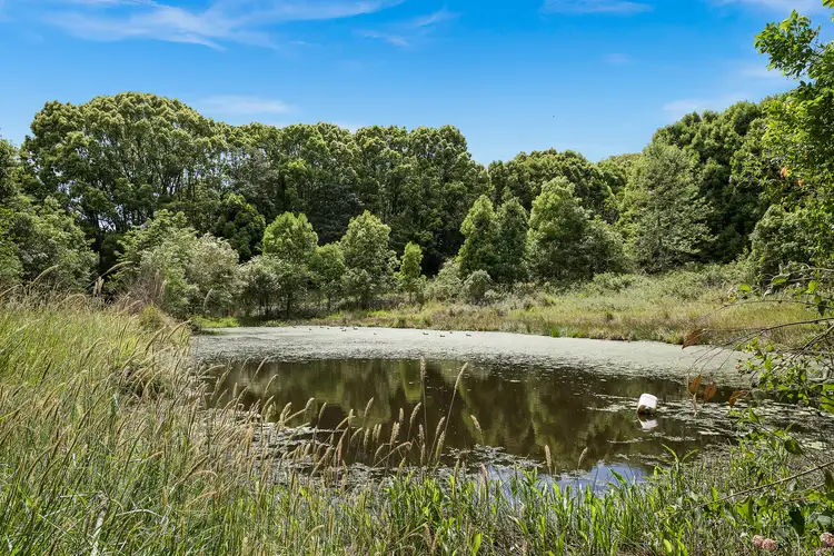 Second view of Homely rural property listing, 71 Cooks Rd, Nashua NSW 2479