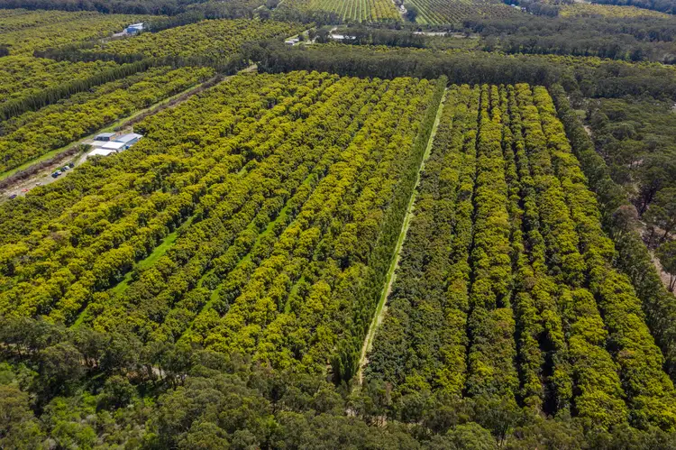 Third view of Homely rural property listing, Lot 4 Perrett Lane, Fishermans Reach NSW 2441