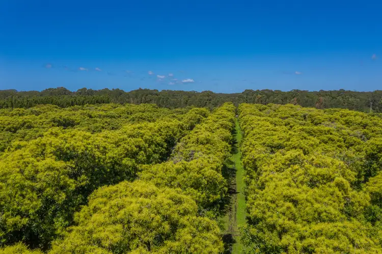 Sixth view of Homely rural property listing, Lot 4 Perrett Lane, Fishermans Reach NSW 2441