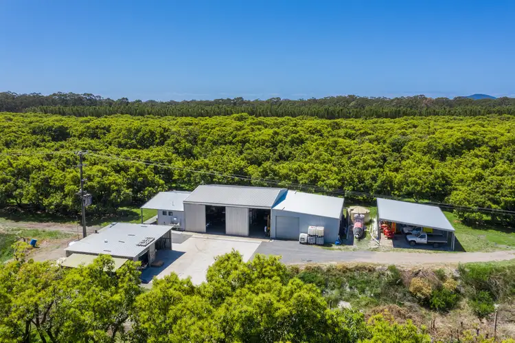 Seventh view of Homely rural property listing, Lot 4 Perrett Lane, Fishermans Reach NSW 2441