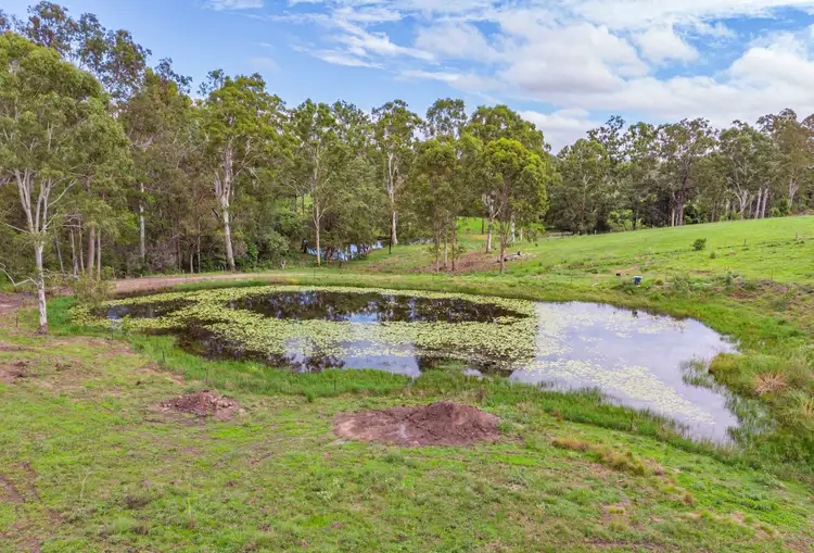 Fifth view of Homely house listing, 1327 Anderleigh Rd, Anderleigh QLD 4570