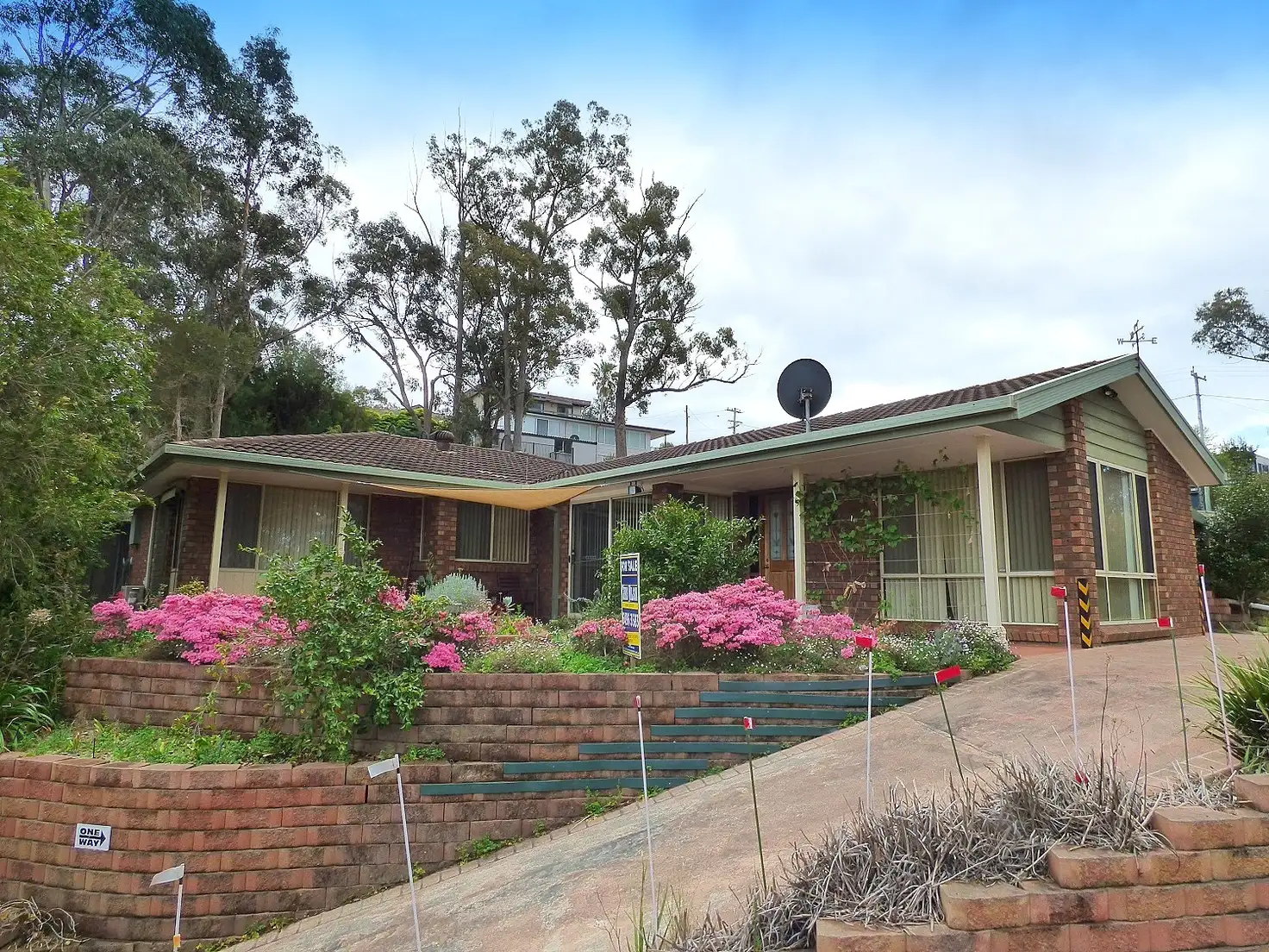 Main view of Homely house listing, 16 Andrea St, Eden NSW 2551