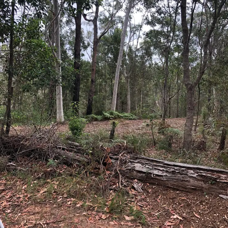 Second view of Homely land listing, 41 Forest Hill Rd, Russell Island QLD 4184