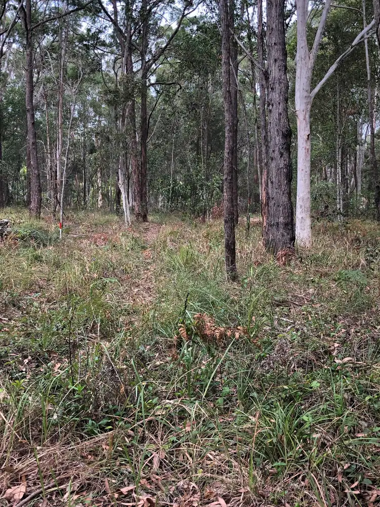 Third view of Homely land listing, 41 Forest Hill Rd, Russell Island QLD 4184
