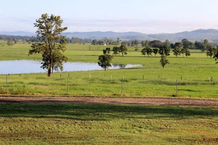 Fourth view of Homely rural property listing, 603 Knights Road, Kyogle NSW 2474