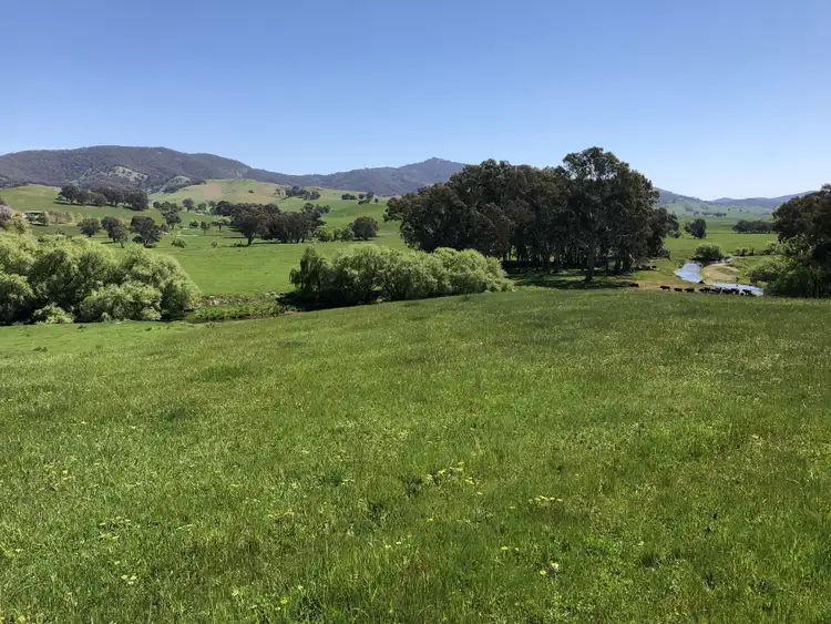 Main view of Homely rural property listing, 'Colynda Vale'/691 Tallangatta Creek Rd, Tallangatta Valley VIC 3701