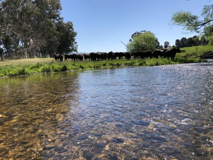 Second view of Homely rural property listing, 'Colynda Vale'/691 Tallangatta Creek Rd, Tallangatta Valley VIC 3701