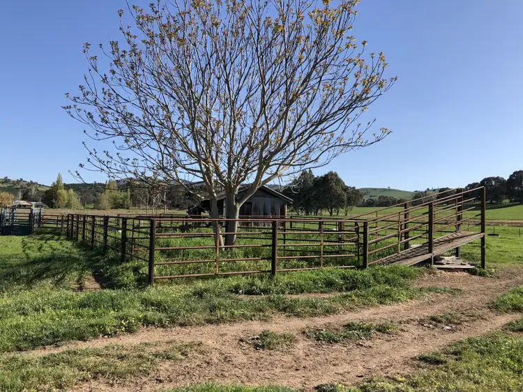 Fourth view of Homely rural property listing, 'Colynda Vale'/691 Tallangatta Creek Rd, Tallangatta Valley VIC 3701