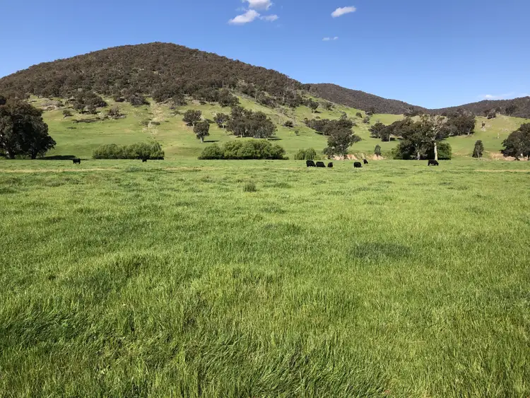Sixth view of Homely rural property listing, 'Colynda Vale'/691 Tallangatta Creek Rd, Tallangatta Valley VIC 3701