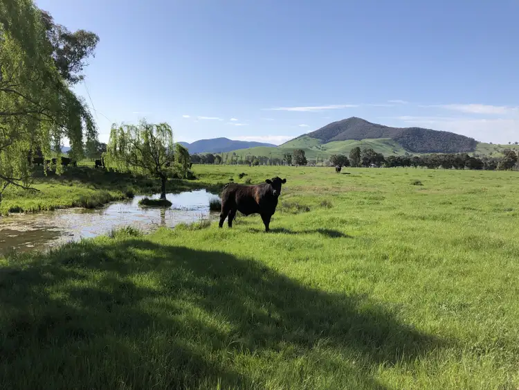 Seventh view of Homely rural property listing, 'Colynda Vale'/691 Tallangatta Creek Rd, Tallangatta Valley VIC 3701