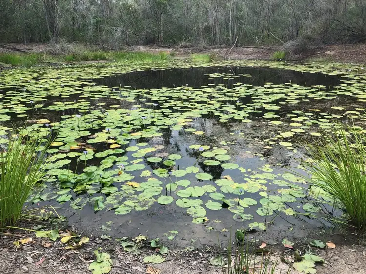 Second view of Homely rural property listing, 256 Clarke Rd, Lowmead QLD 4676
