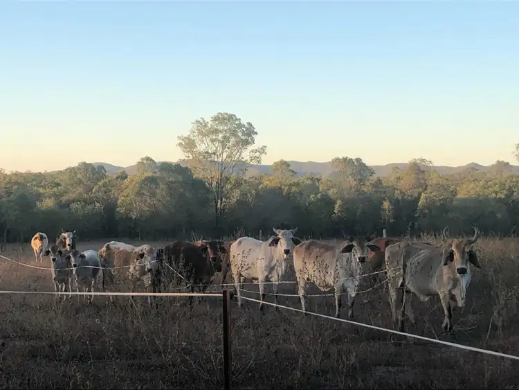 Fifth view of Homely rural property listing, 256 Clarke Rd, Lowmead QLD 4676