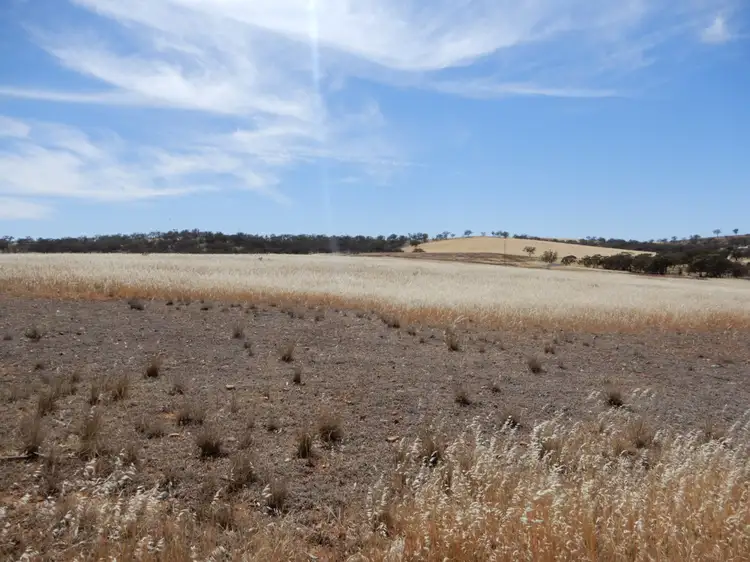 Second view of Homely land listing, Section 263 Fairway Drive, Wirrabara SA 5481