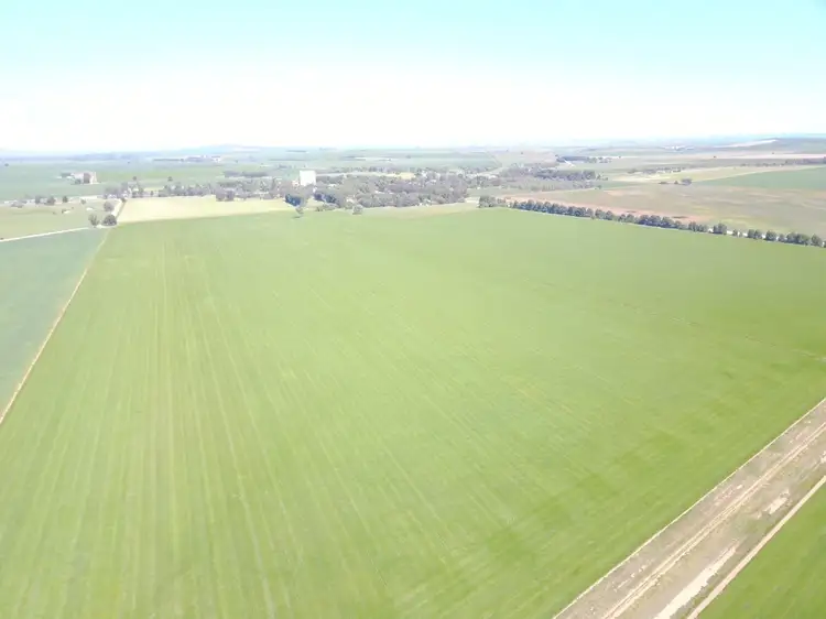Main view of Homely rural property listing, * Caltowie-Tarcowie Rd, Caltowie SA 5490