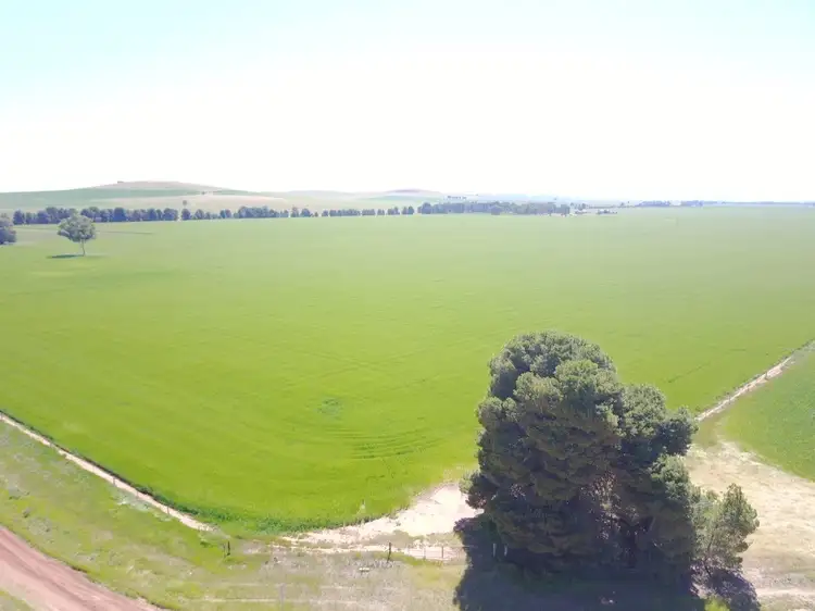 Third view of Homely rural property listing, * Caltowie-Tarcowie Rd, Caltowie SA 5490