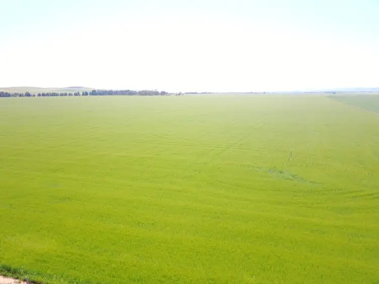 Fourth view of Homely rural property listing, * Caltowie-Tarcowie Rd, Caltowie SA 5490