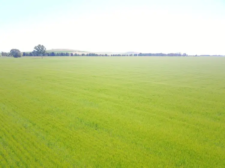 Fifth view of Homely rural property listing, * Caltowie-Tarcowie Rd, Caltowie SA 5490