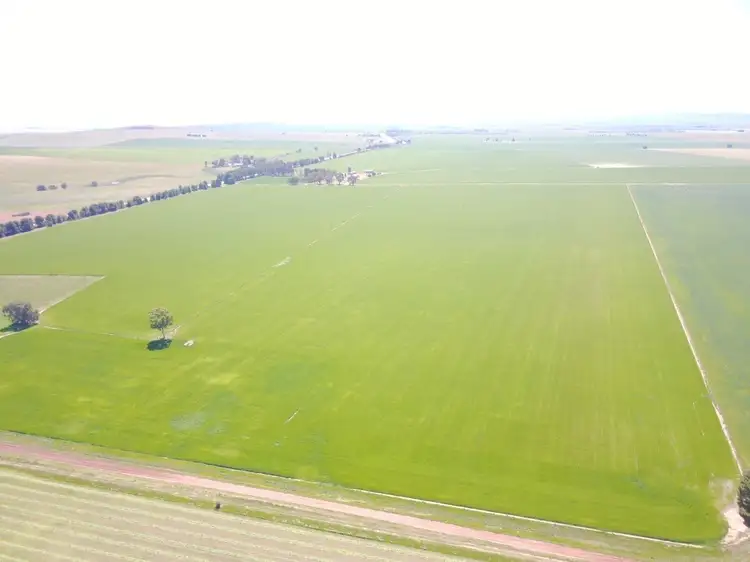 Sixth view of Homely rural property listing, * Caltowie-Tarcowie Rd, Caltowie SA 5490