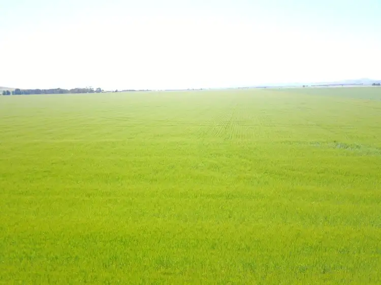 Seventh view of Homely rural property listing, * Caltowie-Tarcowie Rd, Caltowie SA 5490