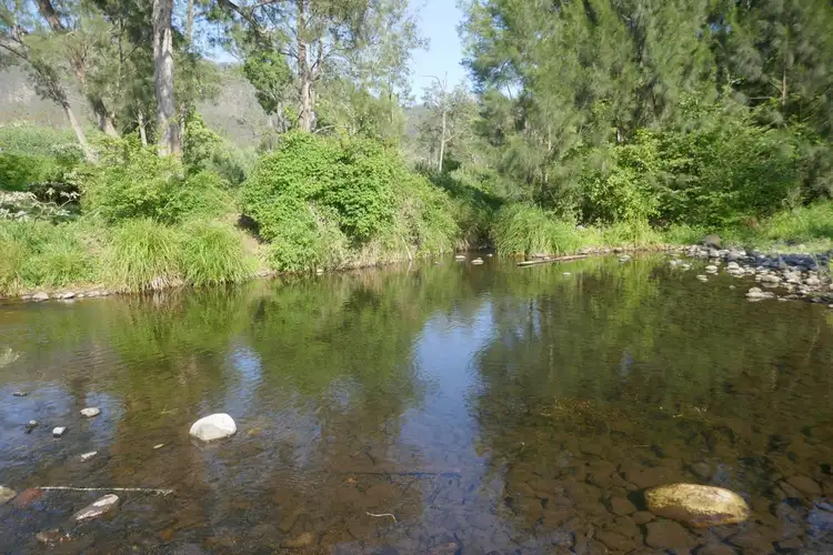Main view of Homely rural property listing, 841 Lynch's Creek Road, Kyogle NSW 2474