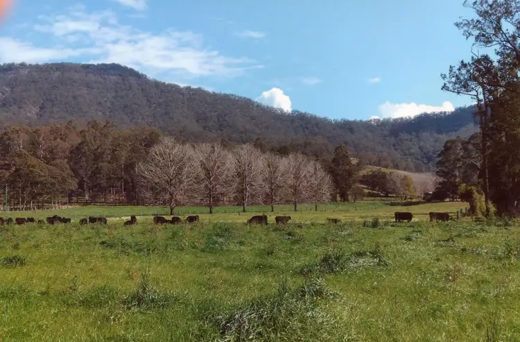 Second view of Homely rural property listing, 841 Lynch's Creek Road, Kyogle NSW 2474