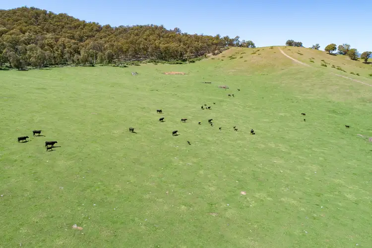 Fifth view of Homely land listing, Lot 1 & 2 Bullhead Road, Mitta Mitta VIC 3701