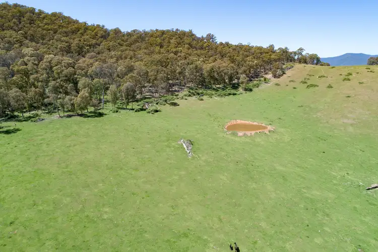 Sixth view of Homely land listing, Lot 1 & 2 Bullhead Road, Mitta Mitta VIC 3701