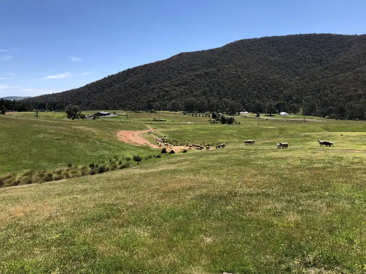 3740 Jingellic Rd, Lankeys Creek NSW 2644