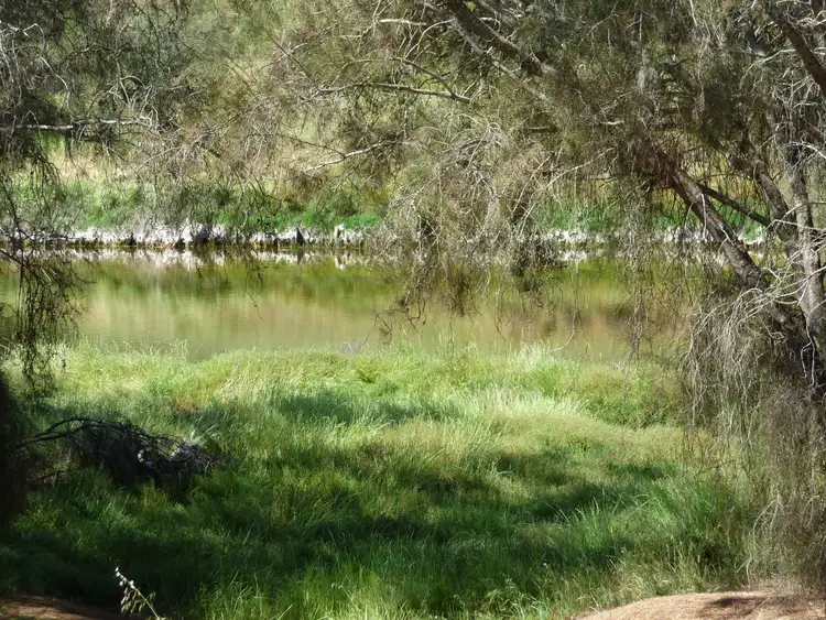Seventh view of Homely land listing, Lot/32 Railway Road, Toodyay WA 6566