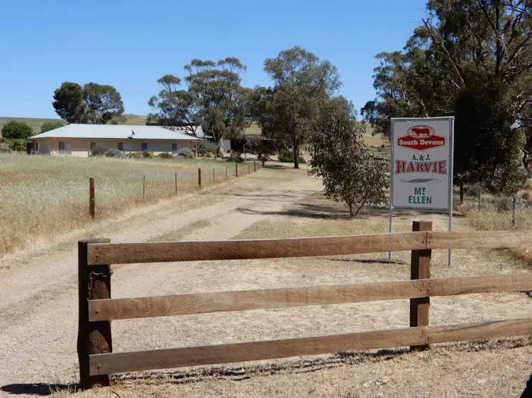 Main view of Homely rural property listing, 536 Avonmore Rd, Wirrabara SA 5481
