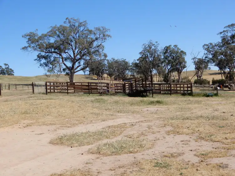 Fifth view of Homely rural property listing, 536 Avonmore Rd, Wirrabara SA 5481