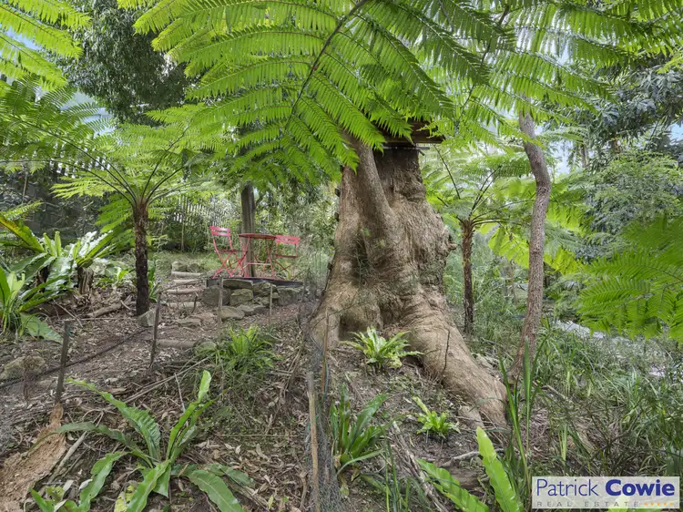 Fifth view of Homely house listing, 19 Waterview St, Seaforth NSW 2092