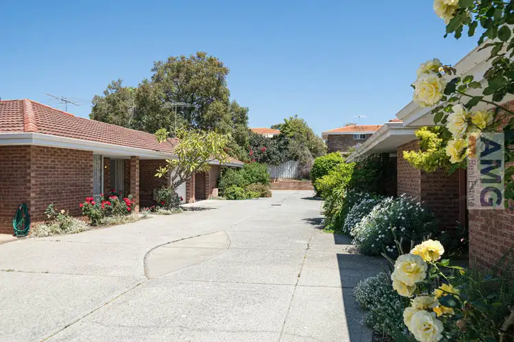 10 Palin Street