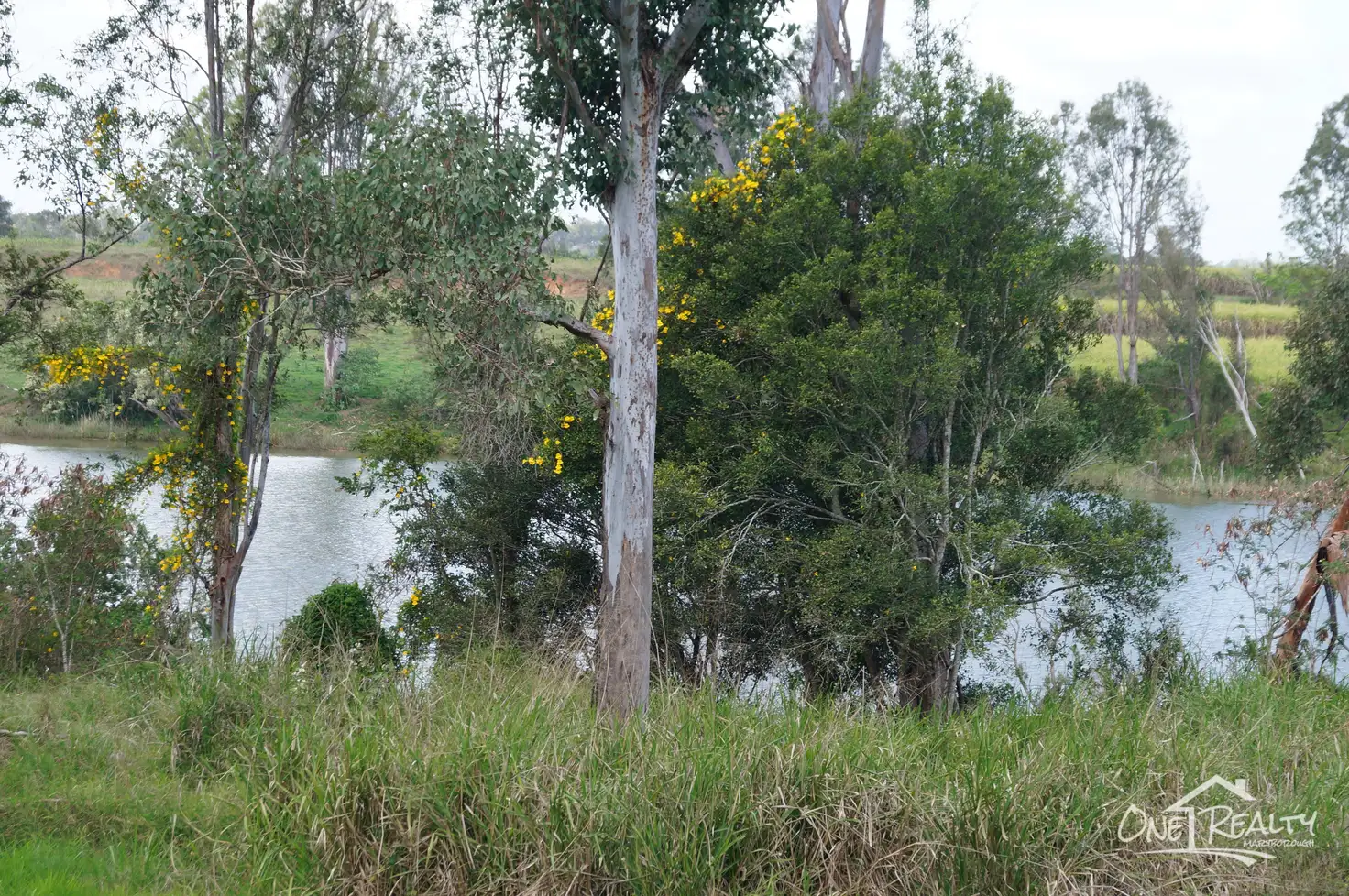 Main view of Homely rural property listing, 15 Horizon Court, Yengarie QLD 4650