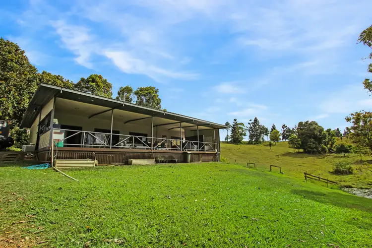 Third view of Homely rural property listing, 239 Watson Rd, Millaa Millaa QLD 4886