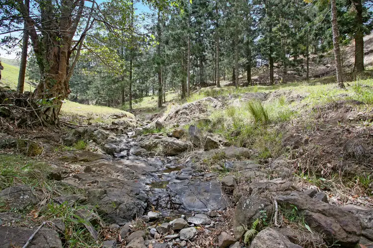 Sixth view of Homely land listing, 960 Bald Knob Rd, Bald Knob QLD 4552