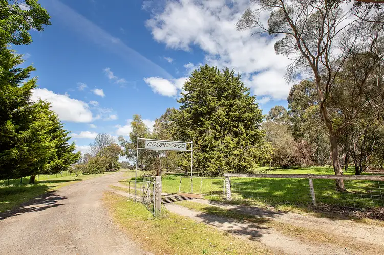 Second view of Homely rural property listing, 227 Millers Lane, Penola SA 5277