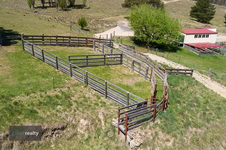 Seventh view of Homely rural property listing, 5950 Jerangle Rd, Jingera NSW 2622