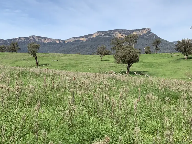 715 Genowlan Rd, Glen Alice NSW 2849