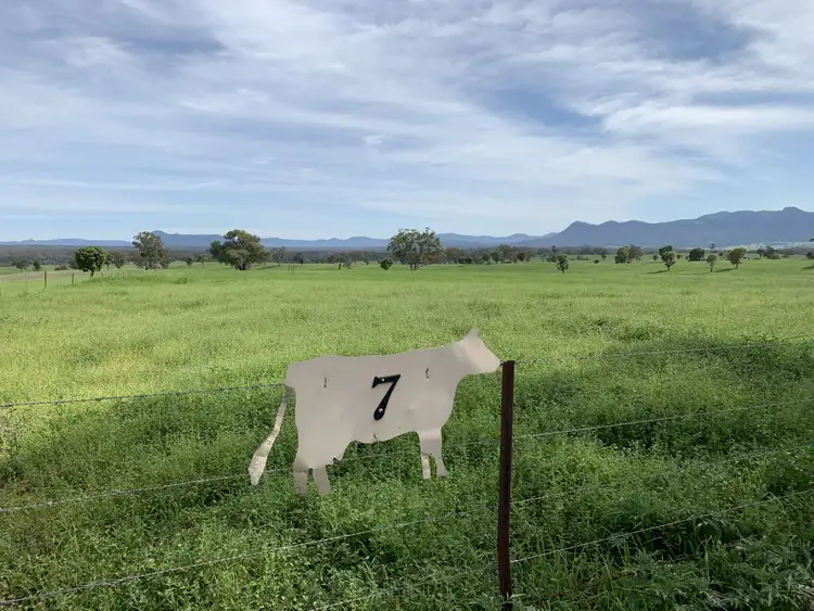 Second view of Homely rural property listing, 715 Genowlan Rd, Glen Alice NSW 2849