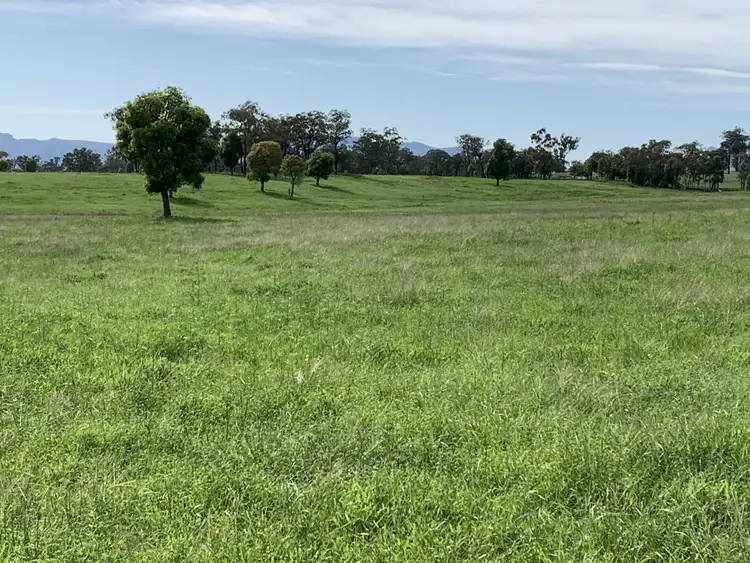 Fifth view of Homely rural property listing, 715 Genowlan Rd, Glen Alice NSW 2849