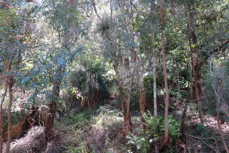 Fourth view of Homely land listing, 4966 Wisemans Ferry Rd, Spencer NSW 2775
